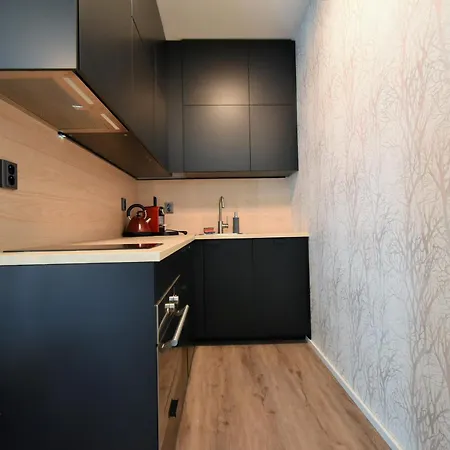 Apartman Labska - Apartment *